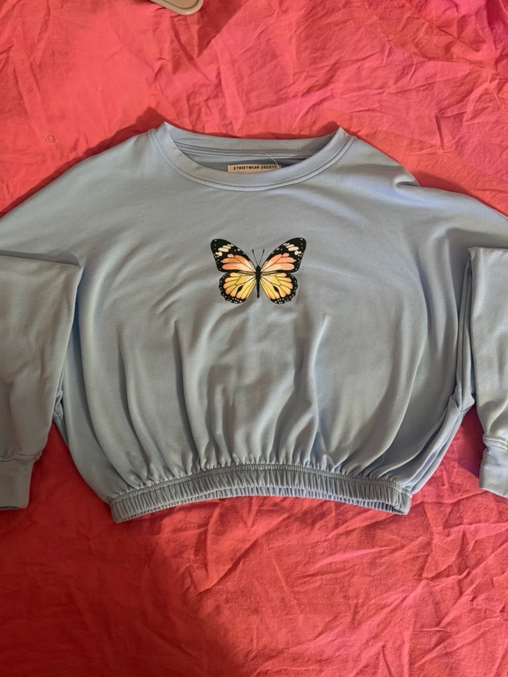 Streetwear Society Pastel Blue Butterfly Cropped Sweatshirt